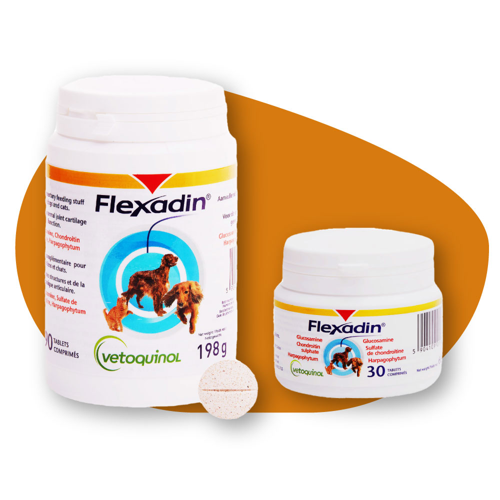 Vetoquinol Flexadin Comprimés pour chat et chien