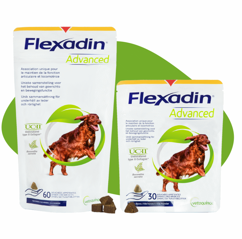 Flexadin Advanced Original Chews Chien (60 Bouchées) : les 60