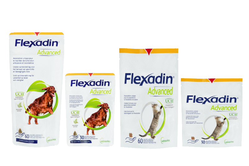 Flexadin Young Aliment Complémentaire Articulations pour Jeunes