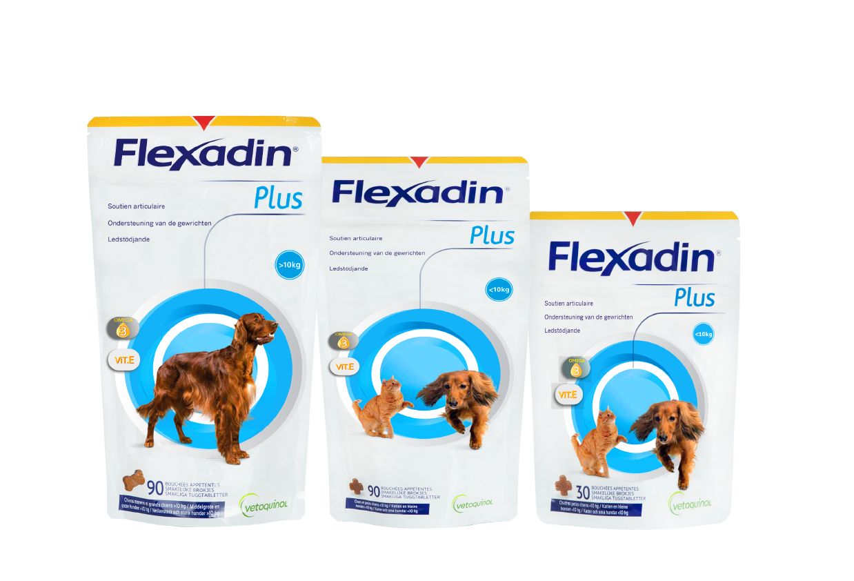 Complément alimentaire pour chien de plus de 10 kg Flexadin Plus